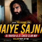 Jaiye Sajana DJ Remix DJ Ravish DJ Chico